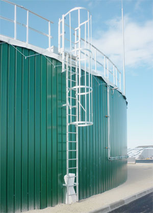 Escaleras Universal protección espaldar 1